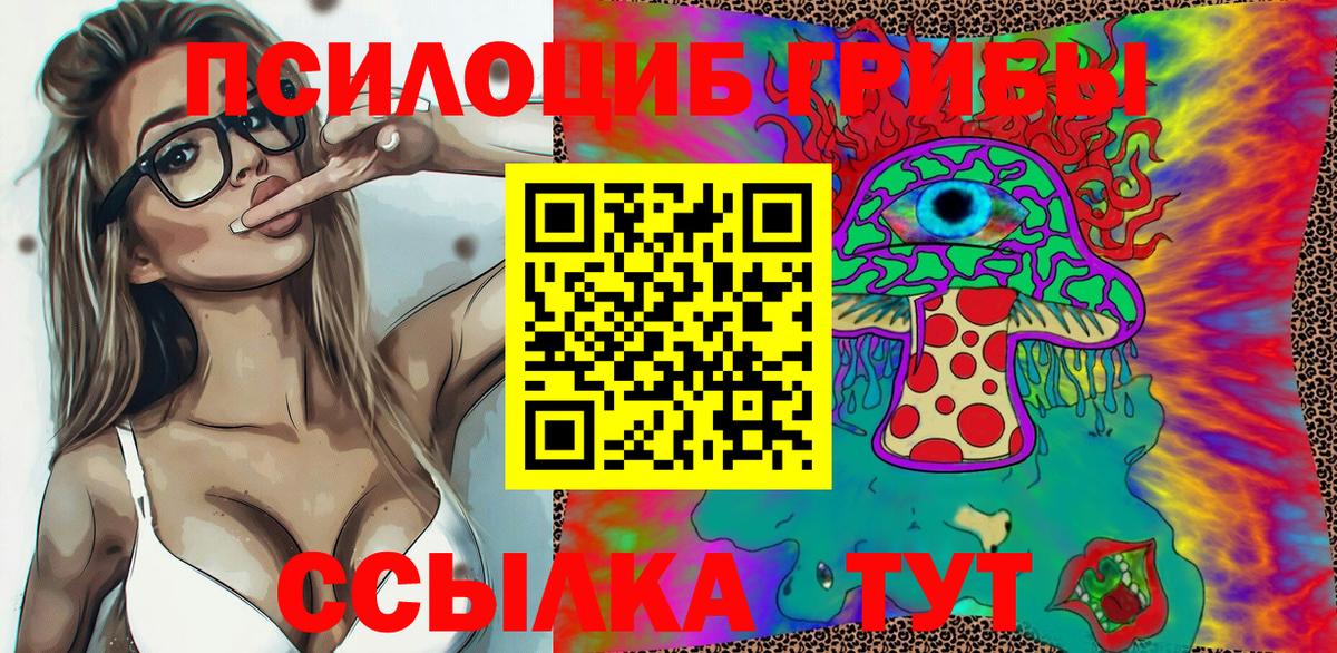 Магнитогорск  Псилоцибиновые грибы прущие грибы  Галлюциногенные грибы MAGIC MUSHROOMS  купить  сайты  Вход с VPN 
